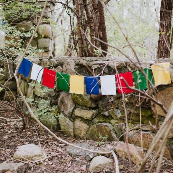 Blank Prayer Flags - Image 5