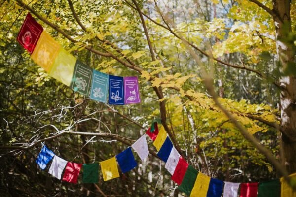 Tibetan Healing Prayer Flags - Image 3